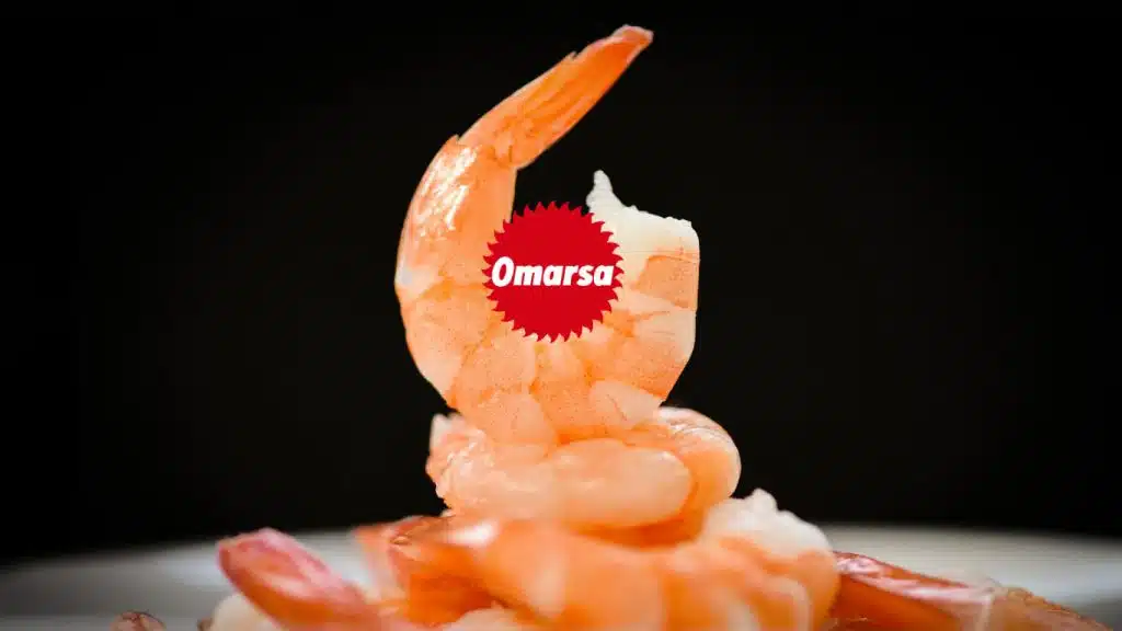 Omarsa - Reinventando la Marca a Través de Estrategias de Marketing Digital